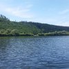"Drachenschwanz"